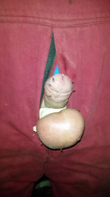 cbt_paintoy