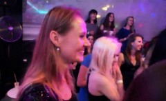 Flirty Kittens Get Completely Insane And Naked At Hardcore P