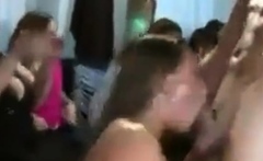 Party Blowjob