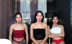 Dirty group sex with shemales