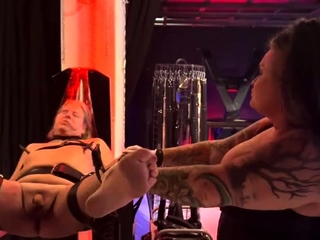 Domina Dark - Dollys Blackout