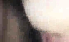 A Hotwife gets BBC for her birthday kk