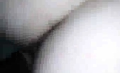 Thick White Girl Sucks And Fucks nn